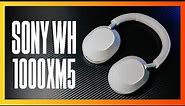 Sony WH-1000XM5: Tai nghe không dây hay nhất Sony từng làm ra! Có phải Sony không?