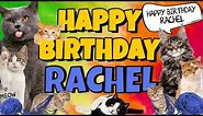 Happy Birthday Rachel! Crazy Cats Say Happy Birthday Rachel (Very Funny)