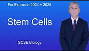 GCSE Biology Revision "Stem Cells"