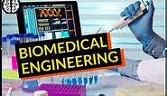 Beginner's Guide to Biomedical Engineering: Salary, job, skills (Simple)