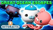 @Octonauts - 🌊 Great Ocean Escapes 🛟 | 80 Mins+ Compilation | Underwater Sea Education for Kids