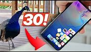 You Wish Your iPhone Could Do This.. 30 New Jailbreak Tweaks!