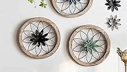 Paquesta 3 Piece Round Farmhouse Wall Decor with 6 Piece Interchangeable Flowers 12'' Medallion Wood & Metal Spring Rustic Wall Art for Living Room Bedroom Kitchen Bathroom Dining Room Home Decorations