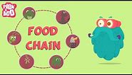 What Is A Food Chain? | The Dr. Binocs Show | Educational Videos For Kids