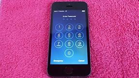 How To: Remove Forgotten PASSCODE iPhone 5S & 5C | iPad Mini iOS | Bypass Password | Unlock Tutorial