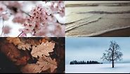 4 seasons in one hour - Relaxing Video with Music and Nature