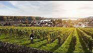 Explore Wines of Germany: Rheinhessen