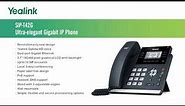 T42G IP Phone - Introduction
