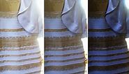 White And Gold Or Black And Blue: Why People See the Dress Differently