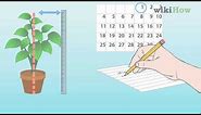 How to Measure Growth Rate of Plants