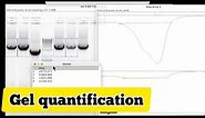 How to quantify gel bands in imageJ | common quantification mistake