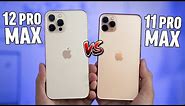 iPhone 12 Pro Max vs 11 Pro Max - Full Comparison!