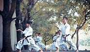 A Complete List of Goju Ryu Karate Katas with Videos