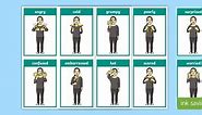 British Sign Language BSL Emotions and Feelings Flashcards