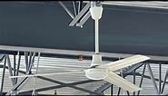 1995-2011 Canarm CP60HPWP 150 cm high performance ceiling fans (for rodrigo and Brandon johnson)