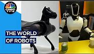 All About Robots! A Glimpse Of World Robot Conference In Beijing | N18V | CNBC TV18