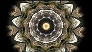 Splendor of Color Kaleidoscope Video v1.2 (Psychedelic Meditation Visuals for Stoners and Trippers)