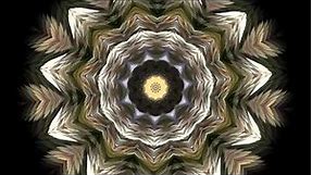 Splendor of Color Kaleidoscope Video v1.2 (Psychedelic Meditation Visuals for Stoners and Trippers)