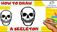How to Draw a skeleton | human skull in 5 minutes - Step-by-Step Drawing Guide
