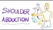 Shoulder Abduction | Muscle Action | Anatomy Upper Extremity 💪