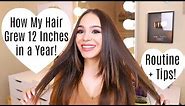 How I Grew My Hair 12 Inches in a Year!