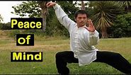 Tai Chi for Beginners Step by Step - Basic Form