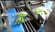 Flow Pack Horizontal Packaging Machine for Peppers