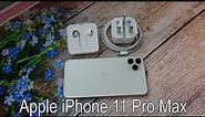 Apple iPhone 11 Pro Max sliver color | hand on and test camera