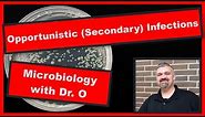 Secondary Infections and Opportunistic Infections: Microbiology