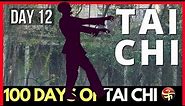Tai Chi Hammer Punch | Day Twelve of 100 Days of Tai Chi