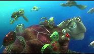 Finding Nemo- Turtle Scene