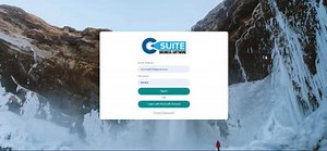 Documents typing in ms word and PDF to words