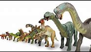 ENTIRE Herbivore Collection Big to Small! | Brachiosaurus, Apatosaurus, Stegosaurus and More!