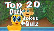 Top 20 Funniest Duck Jokes + Interactive Quiz, Children's Cartoon, Kids Animation