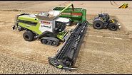 Weizenernte 2022 Getreideernte Mähdrescher CLAAS Lexion Traktor Fendt Lohnunternehmen Landwirtschaft