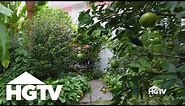 All About Fruit Trees | Design Tips | HGTV