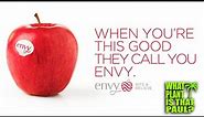 ENVY APPLE TASTING and REVIEW / A Cross Between Royal Gala and Braeburn / Delicious