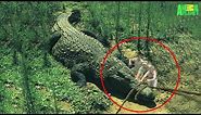 7 Largest Crocodiles Ever Recorded