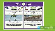 KS2 Homophone Poster: Affect vs Effect