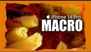 iPhone 14 Pro Max INSANE Macro Photography + Cinematic Video