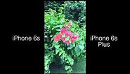 iPhone 6s vs iPhone 6s Plus- Video Quality