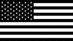 USA flag, American flag vector