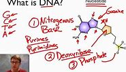 What is DNA?