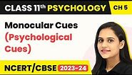 Monocular Cues (Psychological Cues) - Class 11 Psychology Chapter 5