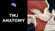Temporomandibular Joint (TMJ) Anatomy | 3D Anatomy Tutorial | UKMLA | CPSA
