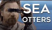 Sea Otters (Obi Wan Kenobi Remix)
