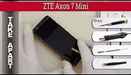 How to disassemble 📱 ZTE Axon 7 Mini (B2017G) Take apart Tutorial