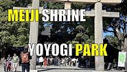 Japan Travel Tip - Meiji Jingu (Shrine), Yoyogi Park