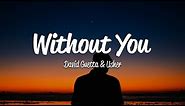 David Guetta - Without You (Lyrics) ft. Usher