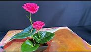 FLOWER ARRANGEMENT IDEAS— Deep Pink Roses and Anthurium Leaves.